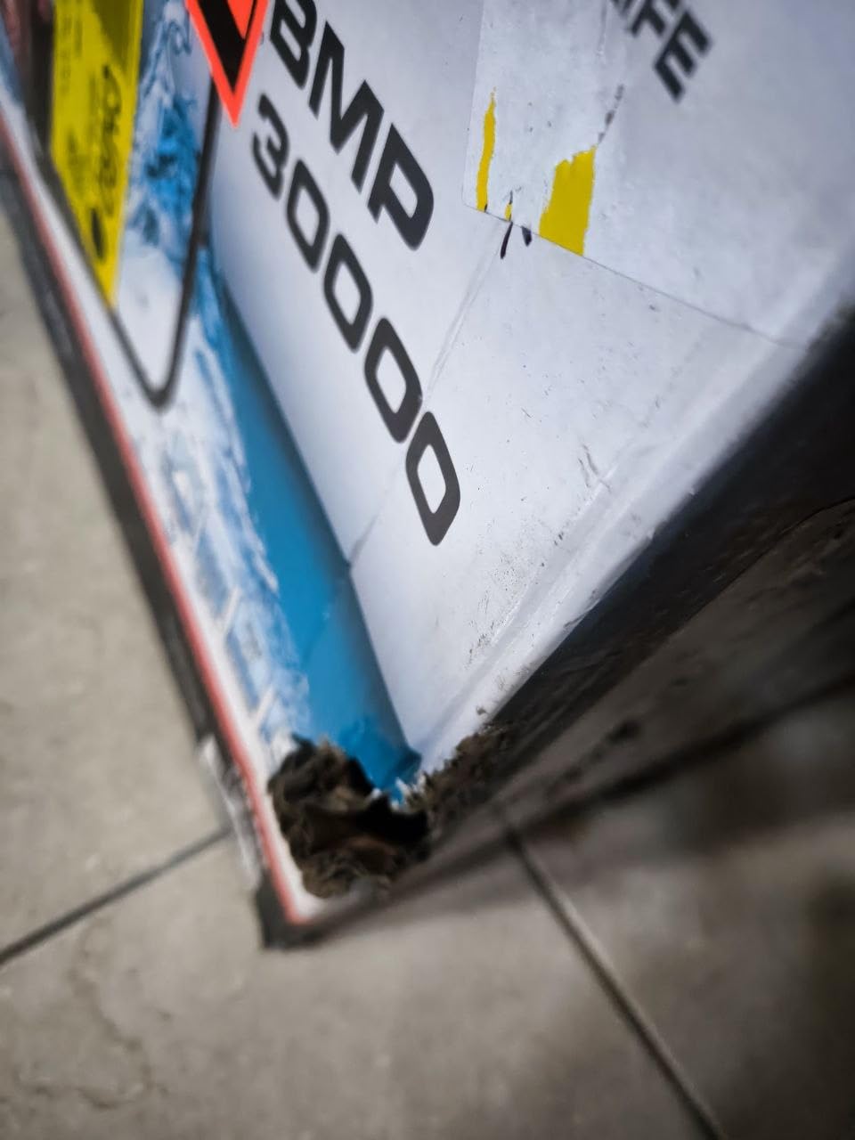 Monsterleistung für wenig Geld