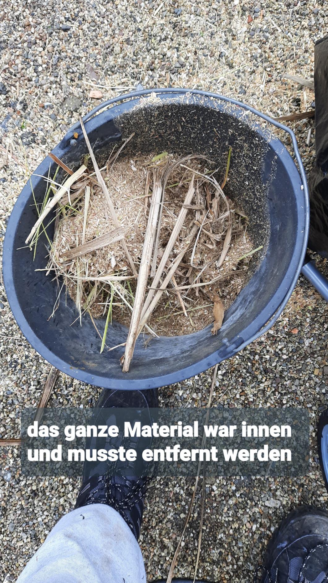 Überraschend kraftvoll