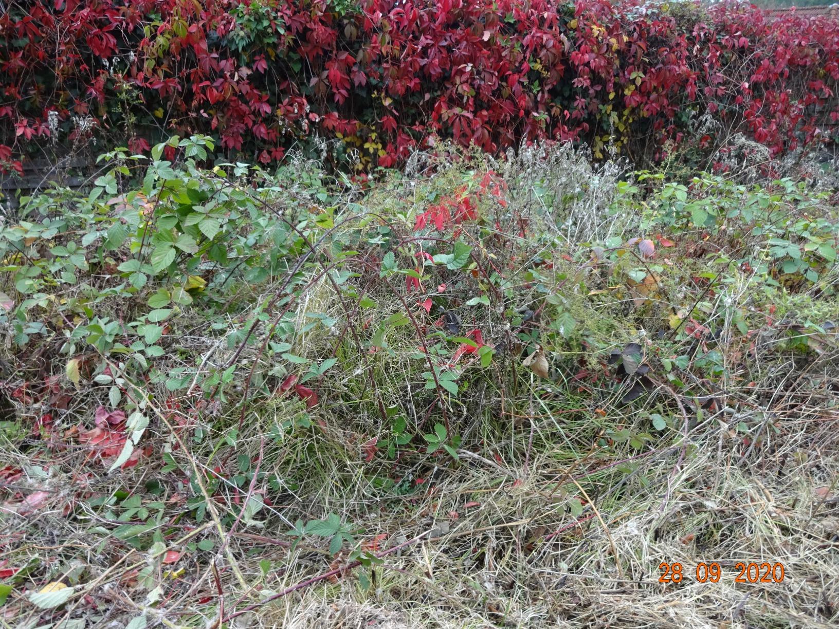 ZuFSverlässig für Senioren-Garten