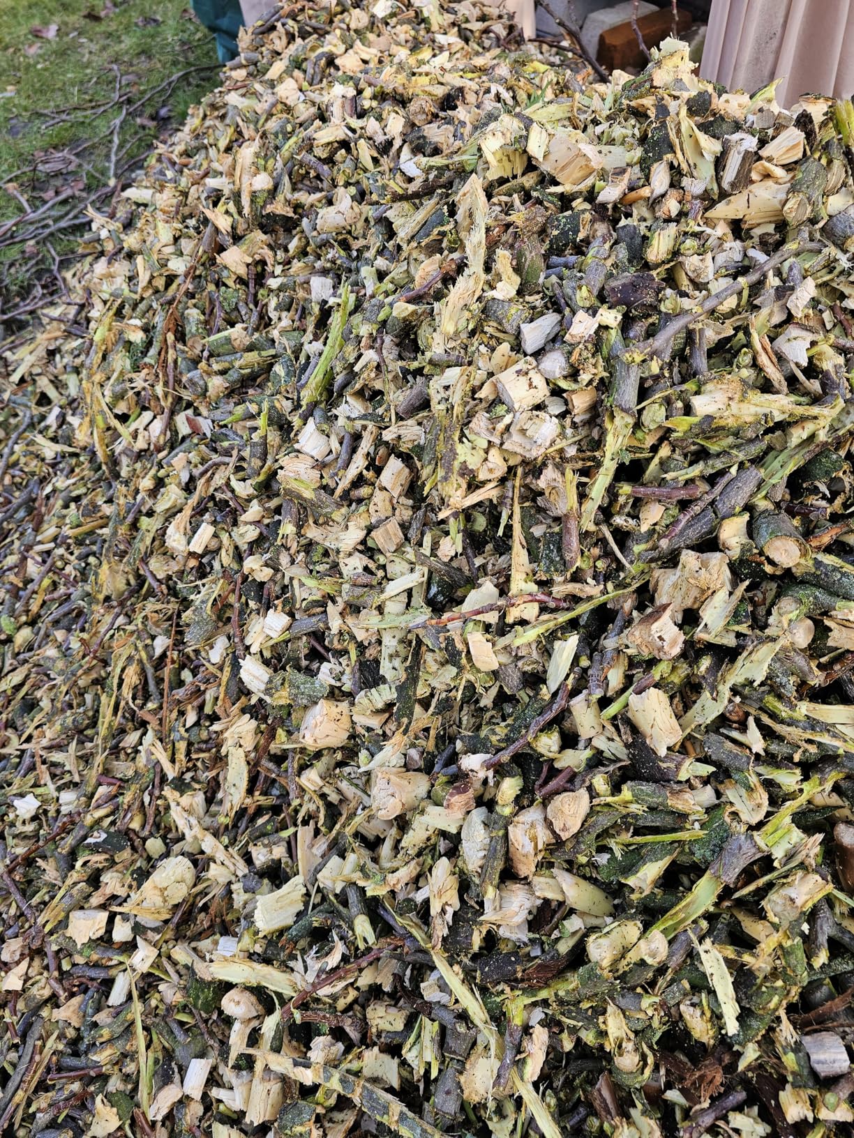 Verstopft bei feuchtem Grün