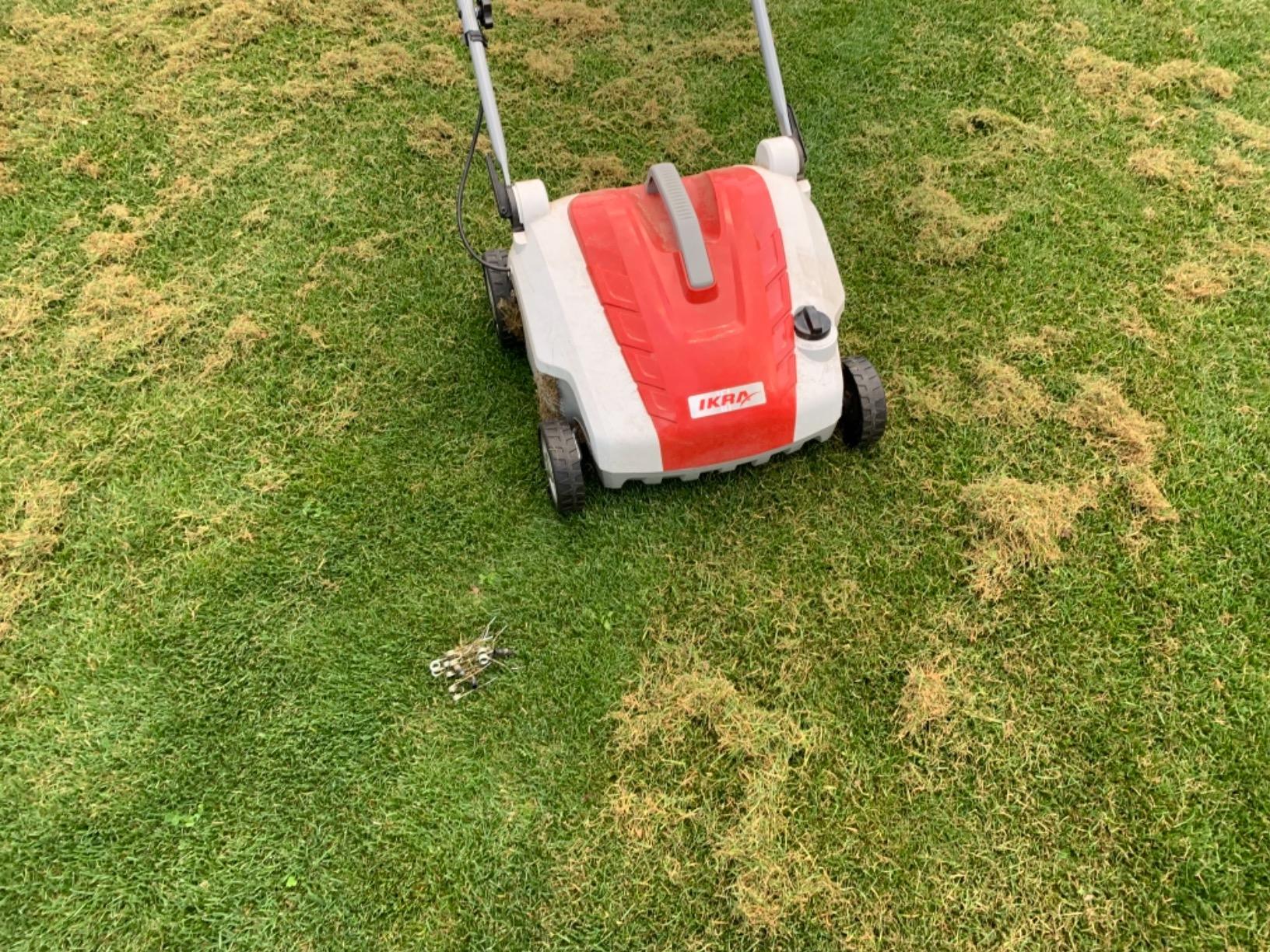 Bester Kauf für den Garten dieses Jahr