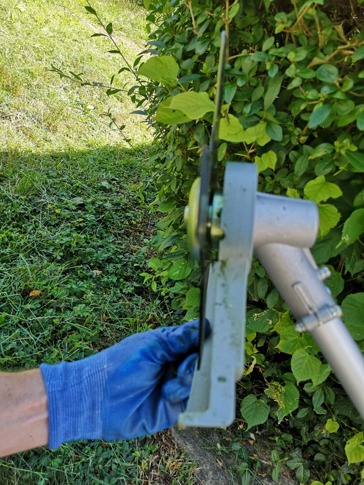 Alter Schwede, was für Power