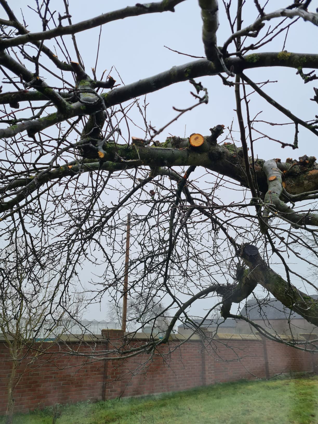 Stark, aber Kette sprang ab