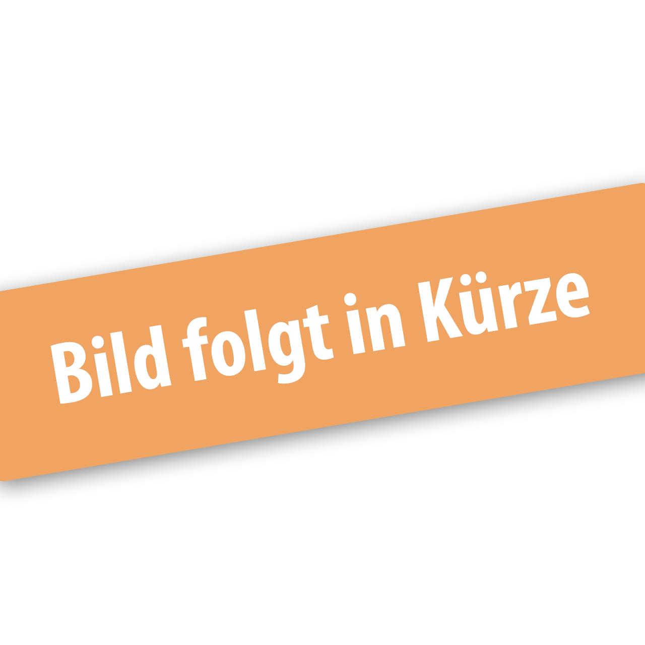 fuxtec-z-ndspule-fx-lb152p-laubbl-ser-ersatzteil image 1