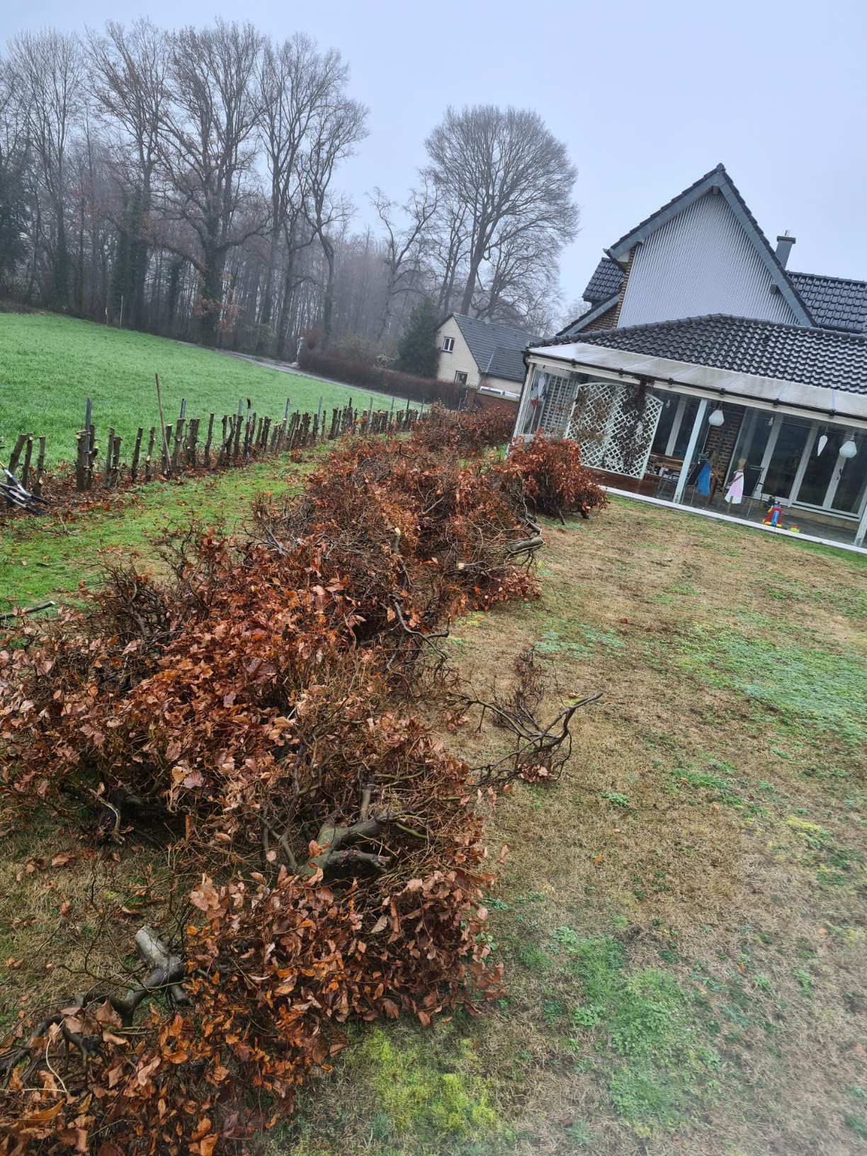 Für Hecke und Baum gut