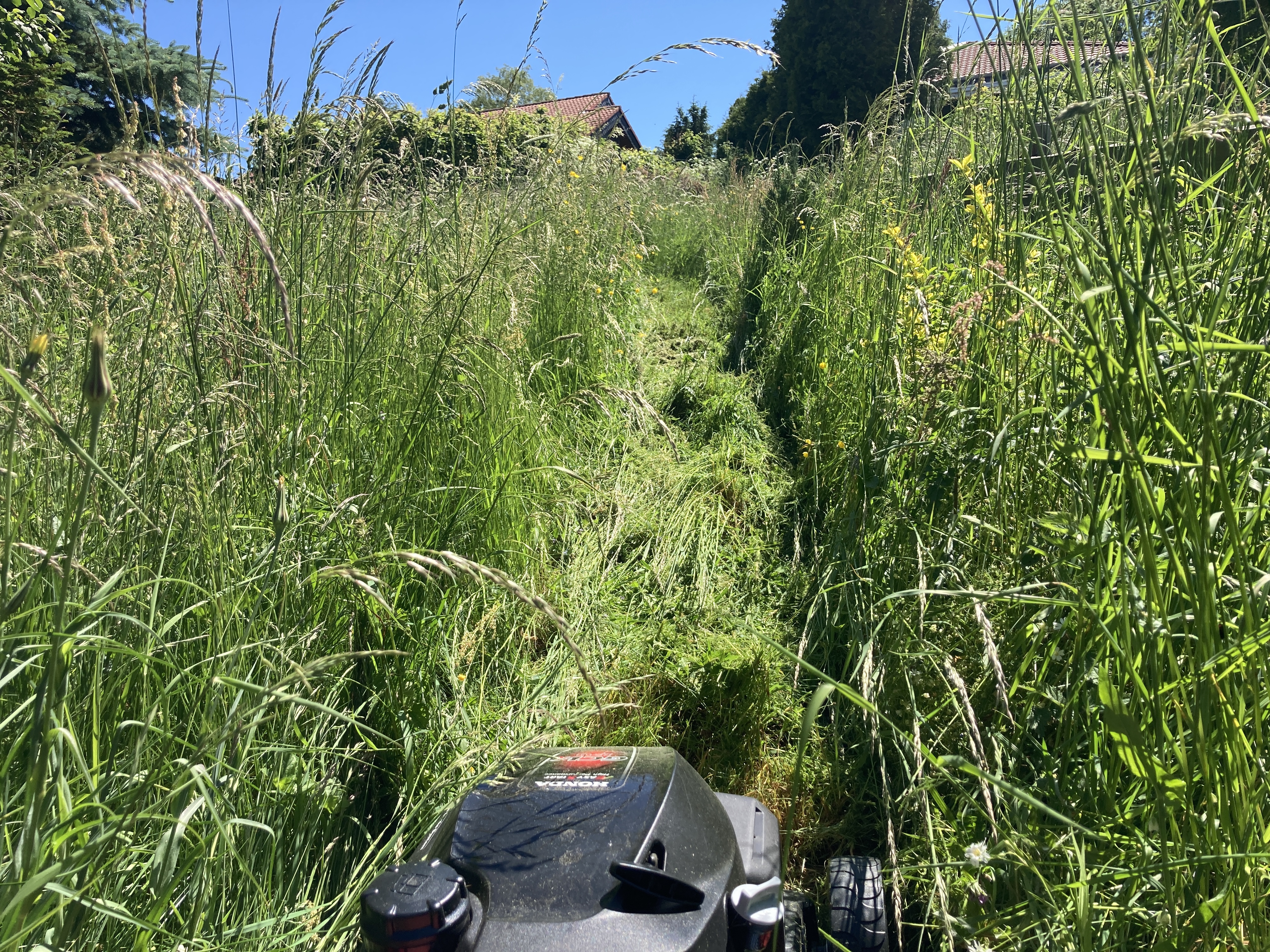 Honda-Power vom Feinsten