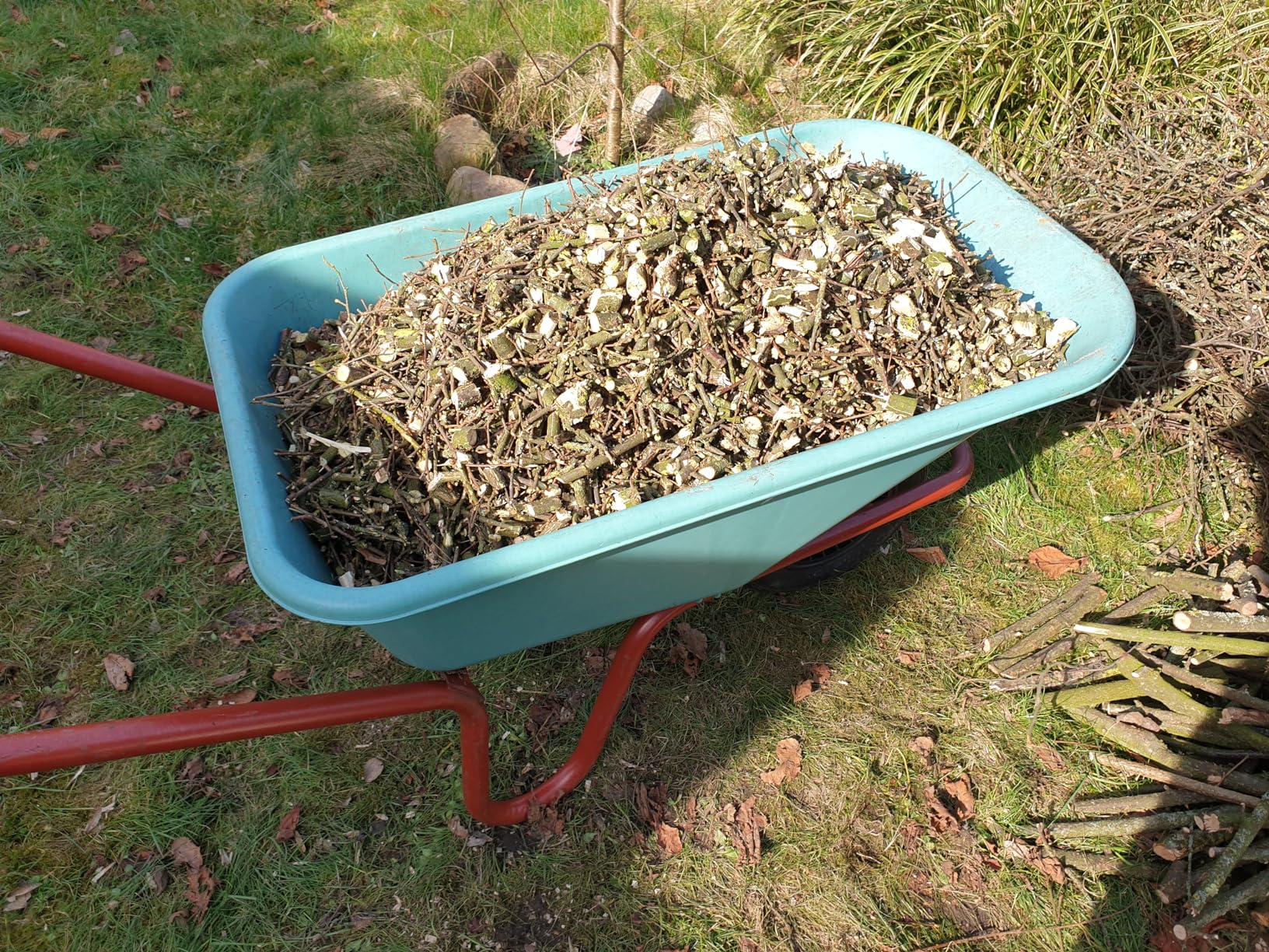 Endlich Ordnung im Garten